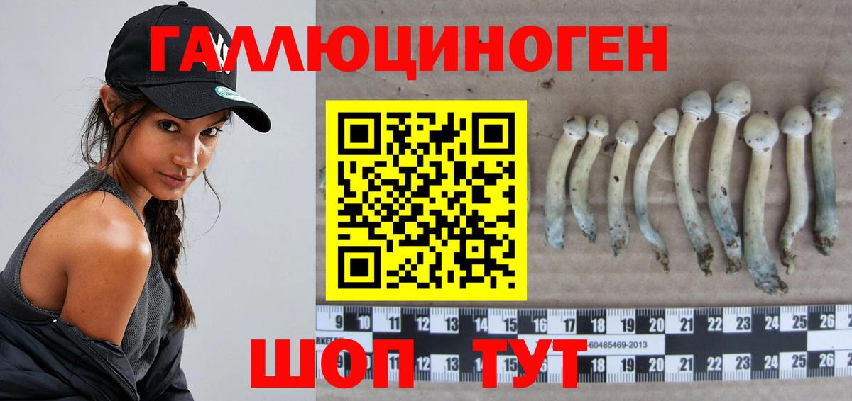 Псилоцибиновые грибы Magic Shrooms  Вход с VPN  Карпинск 